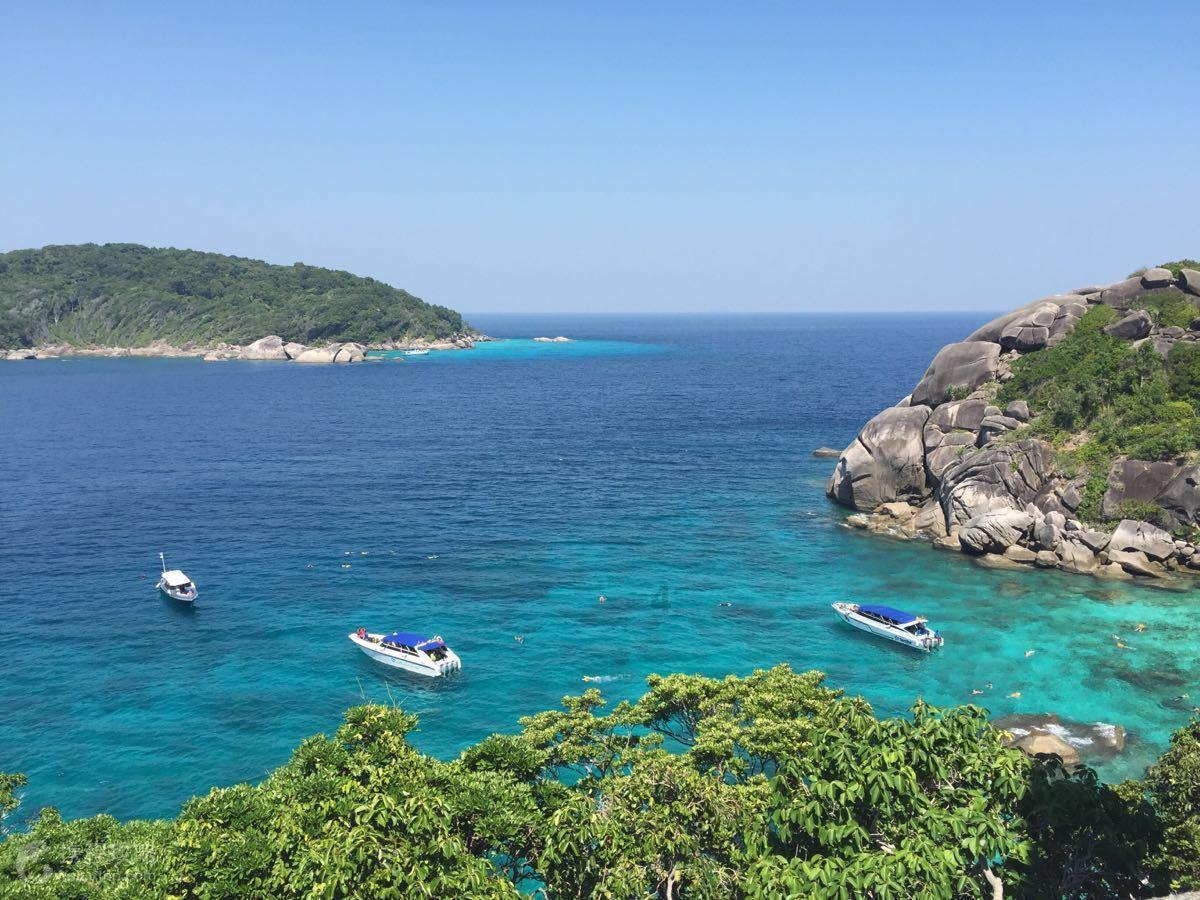 逃离森林湖畔